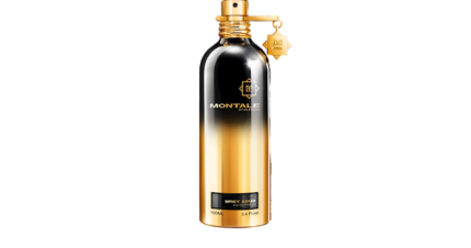 Montale Spicy Aoud ətir suyu hamı üçün 100 ml onlayn sifariş edin