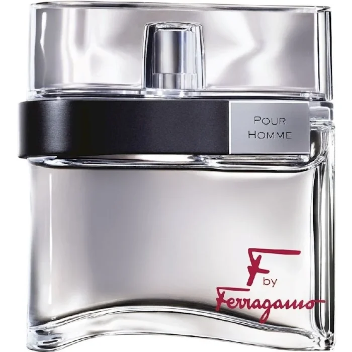 Salvatore Ferragamo F by Ferragamo Pour Homme kişilər üçün tualet suyu onlayn sifariş edin
